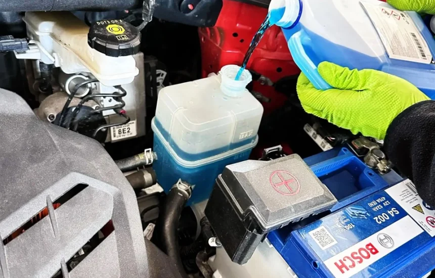 Serwis płynów Hyundai Kona Electric w warsztacie Bosch Car Service Przybyłowicz w Rzeszowie — dolewka, akumulator Bosch S4 002 12V, niebieskie rękawiczki nitrylowe.